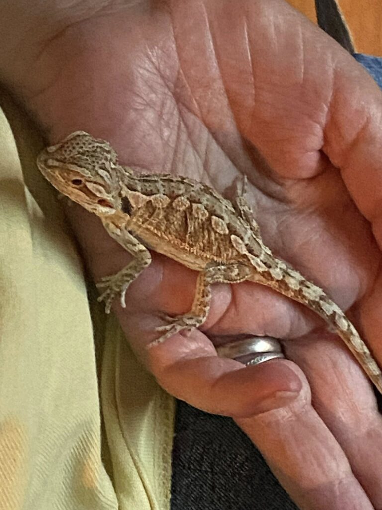 548225578_1110848747848009_3679565335169682482_n