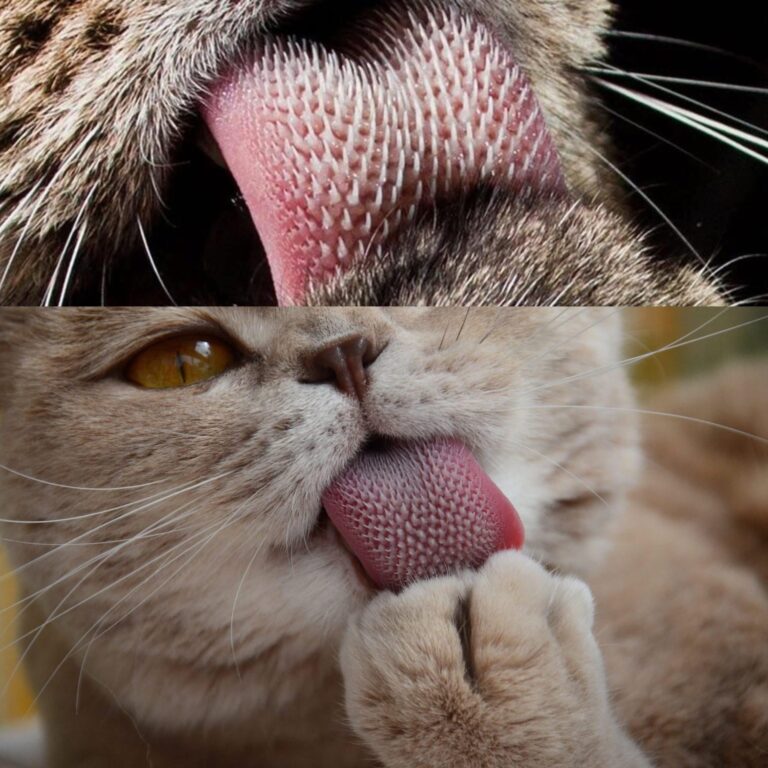 584506589_26152330697720339_8742952853868048701_n