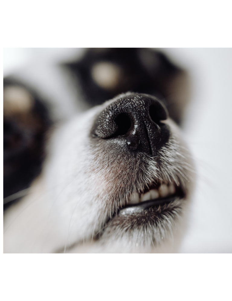 Untitled design - 2026-03-03T164112